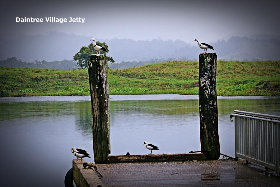 Egrets Rest Villa เดนทรี ภายนอก รูปภาพ
