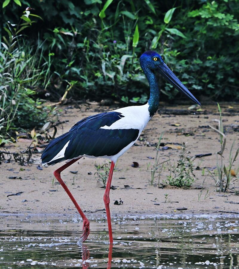Egrets Rest Villa เดนทรี ภายนอก รูปภาพ