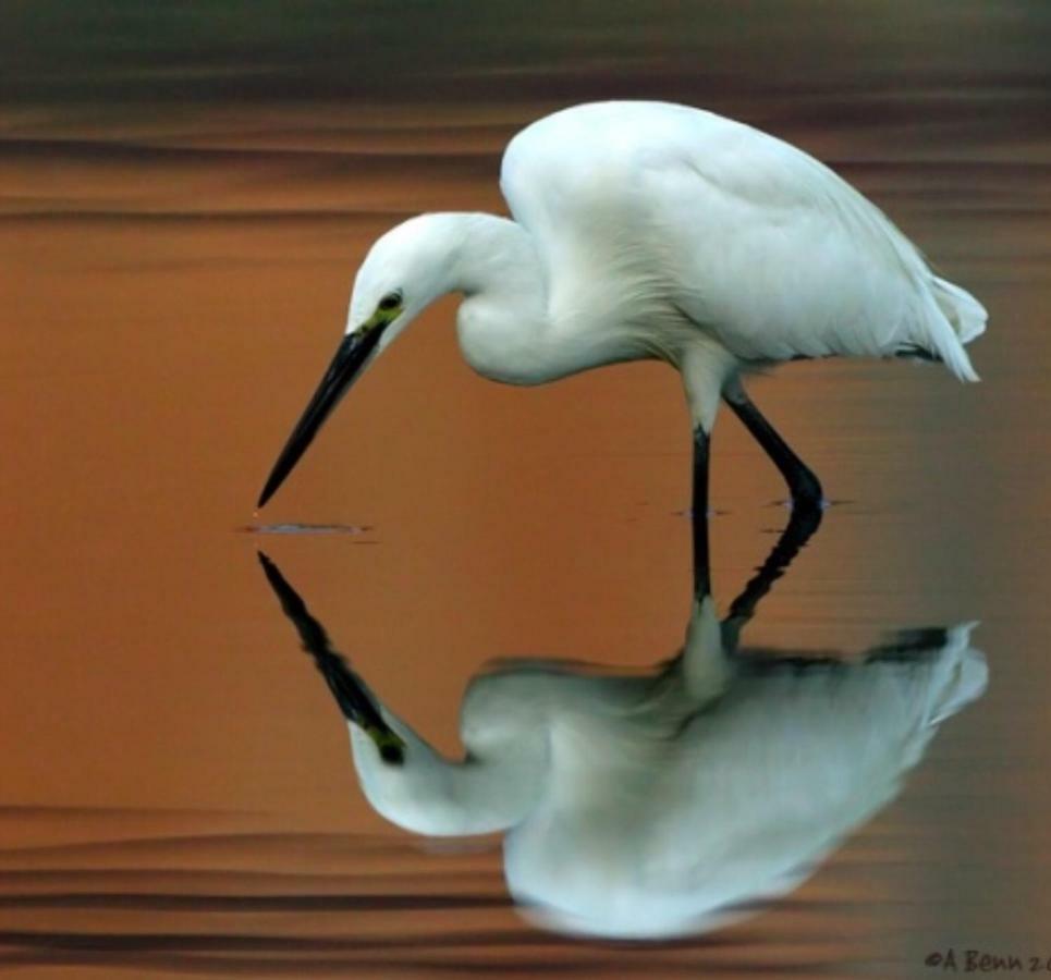Egrets Rest Villa เดนทรี ภายนอก รูปภาพ